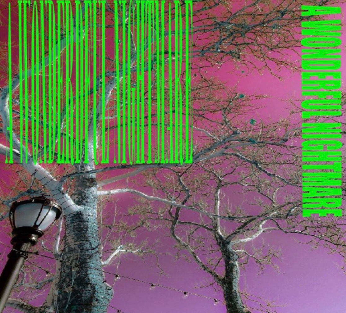 A WONDERFUL NIGHTMARE